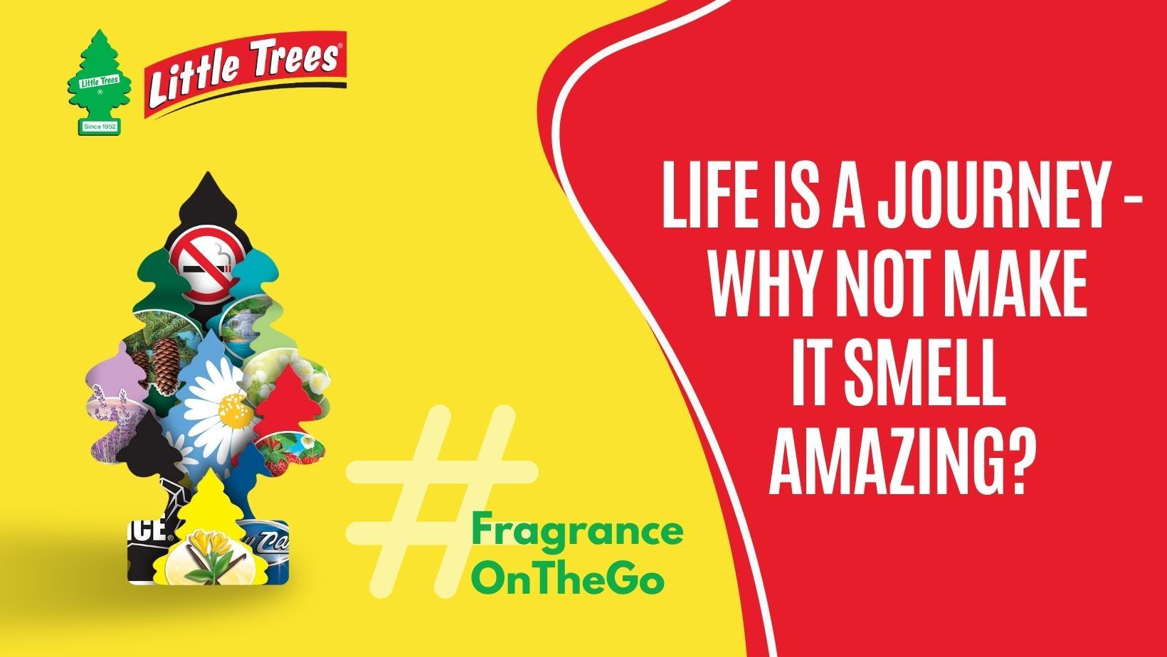 10 MustHave Little Tree Car Air Fresheners for an Irresistibly Fresh