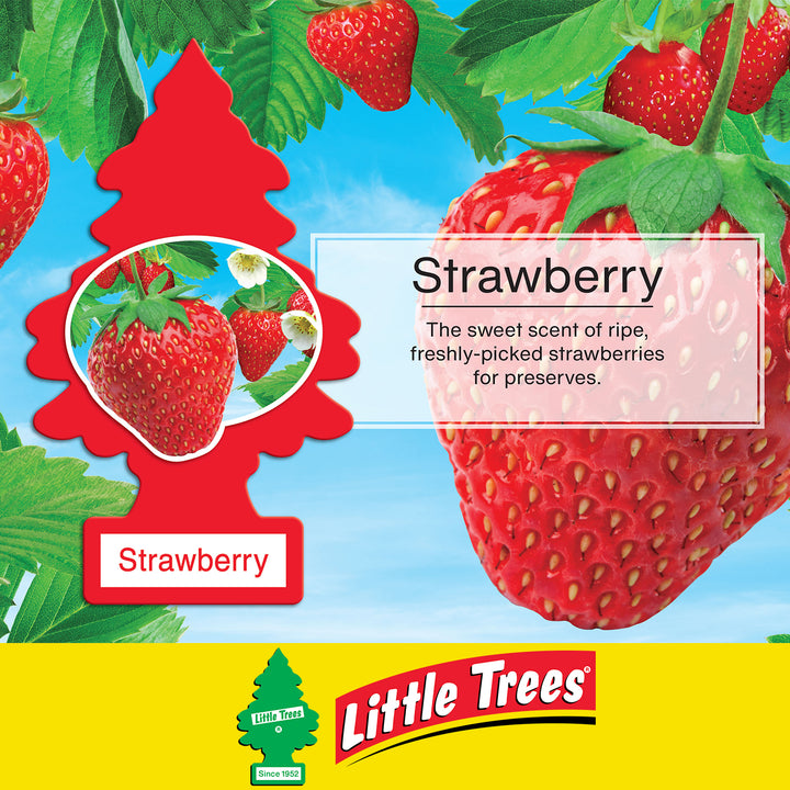 Little Trees Strawberry Hanging Car Air Freshener  Importers of Vehicle  Air Fresheners in India – Sunbeam Ventures